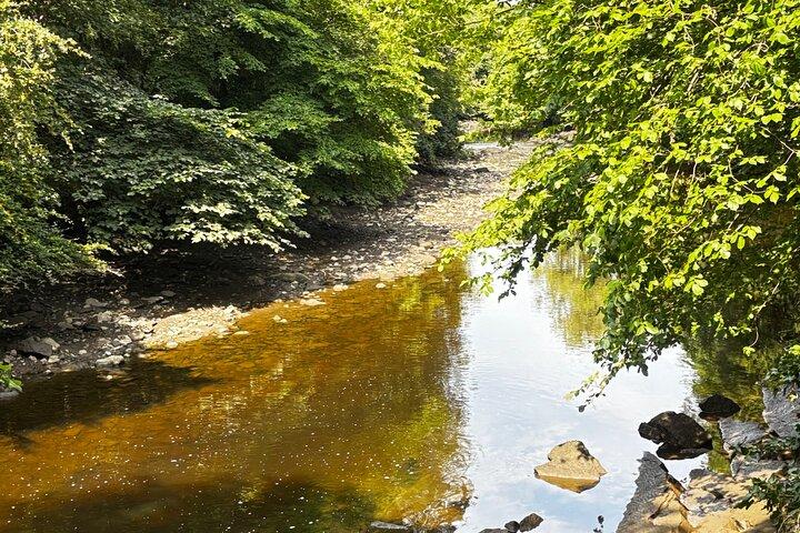 Morning Edinburgh Tour Hidden Gems tour : Une route panoramique de quatre heures