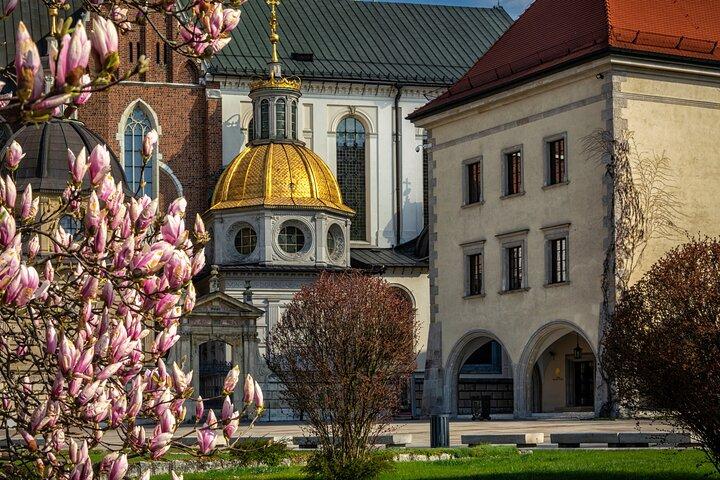 Spring køen over Wawel-katedralen i Krakow Privat rundvisning