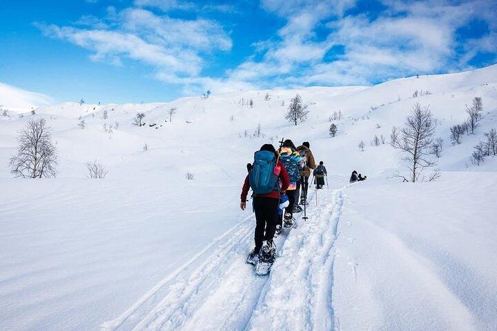 Escursioni con le ciaspole a Bergen - Tour pubblico
