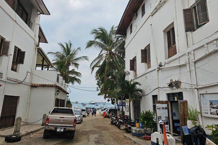 Hele dagtour Stone Town (stadstour) + Prison Island en Spice Farm