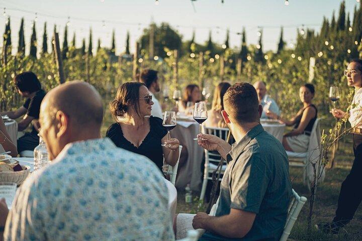 Almuerzo en un viñedo toscano con cata de vinos