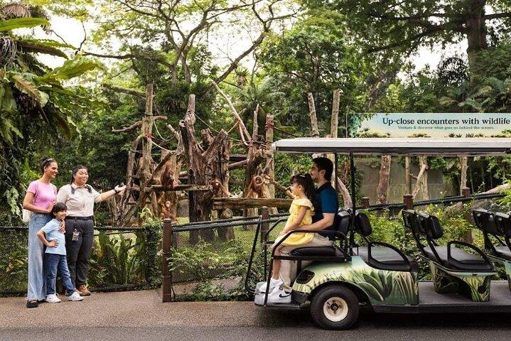Singapore Zoo met tramritervaring voor toeristen