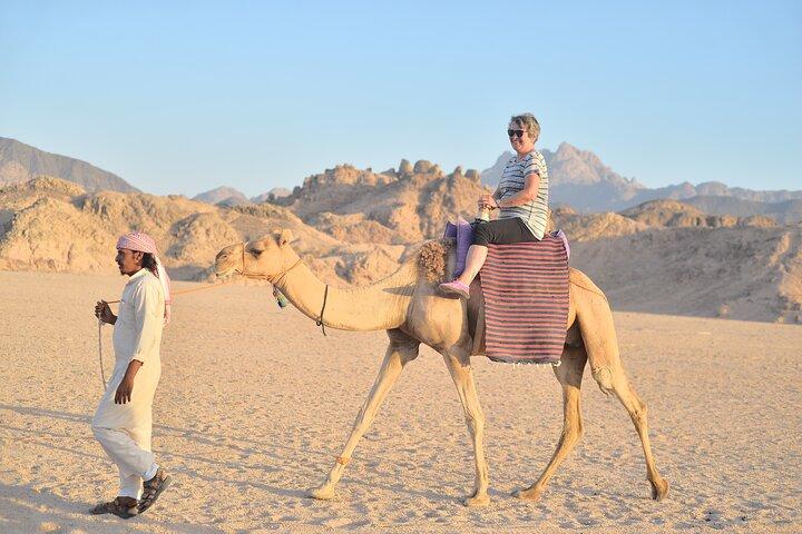 Marsa Alam : Desert Safari : 4x4, Quad, Buggy, Camel & Stargazing