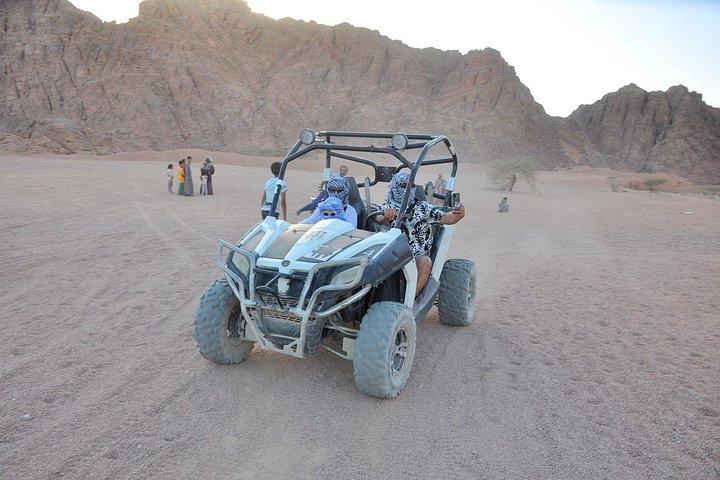 マルサ・アラム：砂漠サファリ：4x4、クワッド、バギー、ラクダ＆星空観察