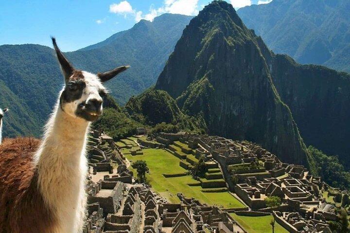 Lares Trek & Short Inca Trail 4 - Tageswanderung nach Machu Picchu