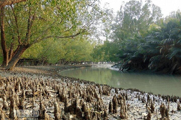 Tour de 9 días por el Patrimonio Mundial en Bangladesh Dhaka, Sundarbans