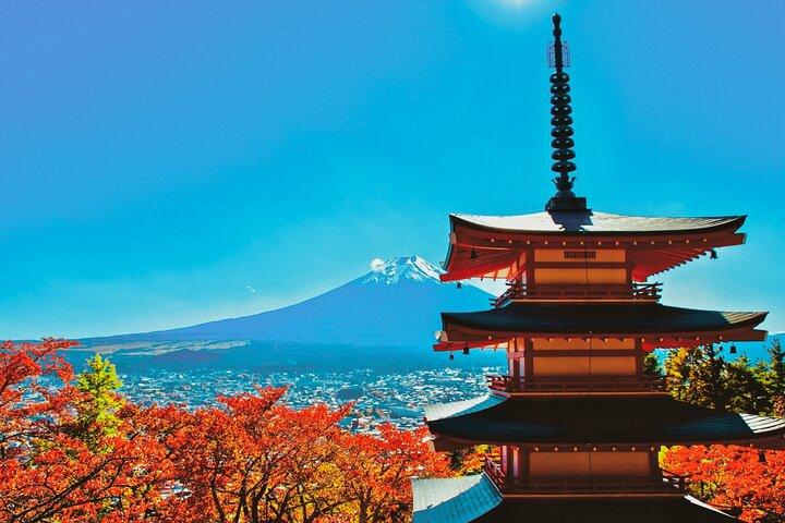 Mt. Fuji, Arakurayama, Fujimichi, Oishi Park, Kawaguchiko met lunch