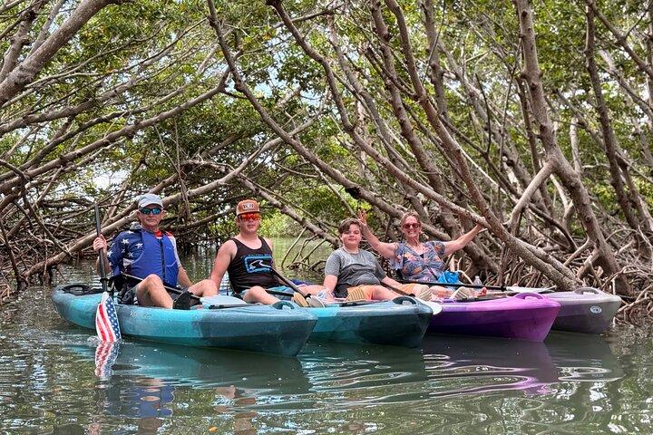 Mangroventunnel Kajaktour nach Shell Key - St. Pete