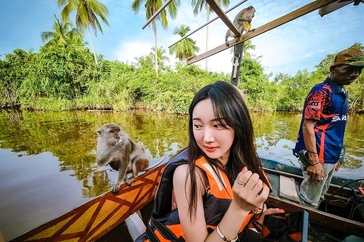 Kota Kinabalu: Bongawan River Cruise, Stadsrundtur och Eldflugor