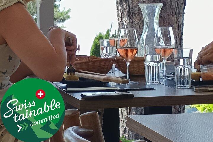Tour di degustazione di vini nei vigneti svizzeri nel Canton Vaud