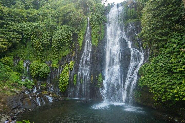 Aspectos destacados del norte de Bali + Terraza de arroz Patrimonio Paisajístico de la Unesco.