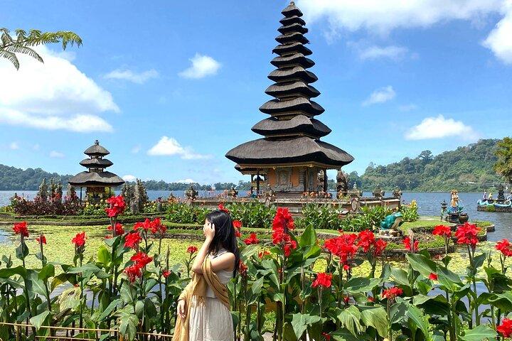 Aspectos destacados del norte de Bali + Terraza de arroz Patrimonio Paisajístico de la Unesco.