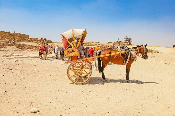 Half Day Pyramids Tours, Camels and Egyptian Food in Giza