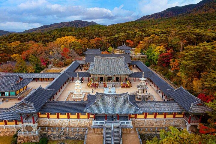 釜山発慶州ユネスコ世界遺産ガイド付き日帰りツアー