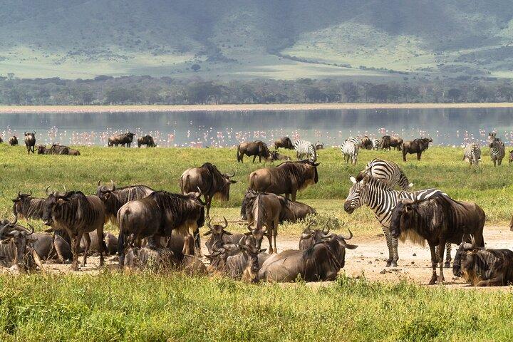 7 Días de Aventura Safari Económico en Circuito Norte