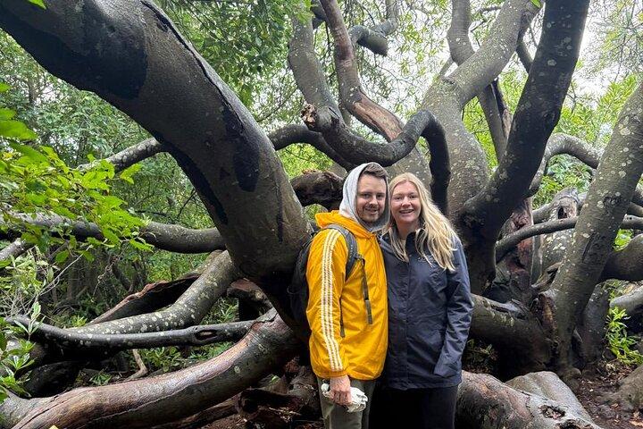Private Robben Island, Kirstenbosch and Wine Tasting Tour