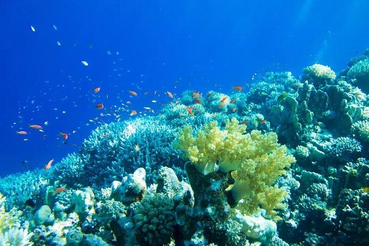 ¡Aventura en velero! Contoy e Isla Mujeres desde Playa del Carmen