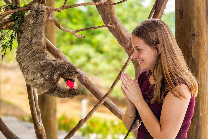 Roatan Wildlife & privéstranduitstapje