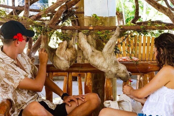 半日ジップラインコンボ： ロアタンのビーチと野生動物との出会い