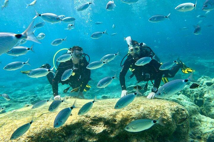 Scuba Diving with a private guide, without certification