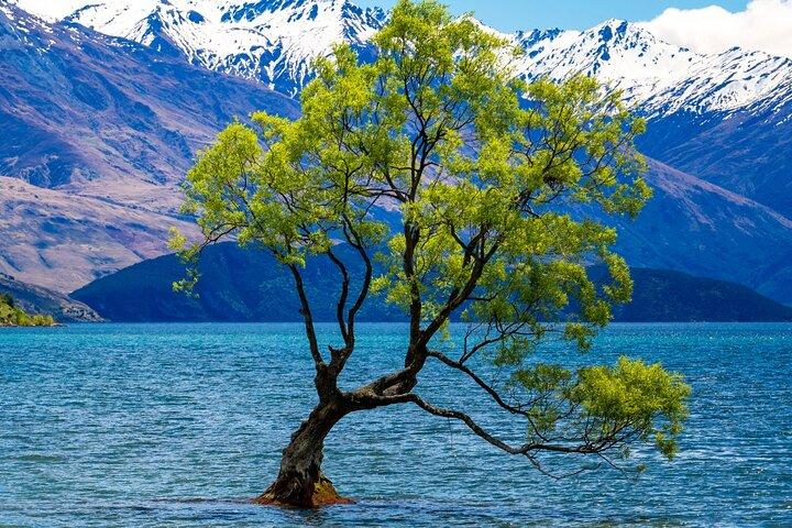 Hoteller i nærheden af Glenorchy & Wanaka Private Day Trip From Queenstown