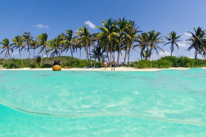 カンクンとプラヤ デル カルメンからの Isla Contoy & Isla Mujeres ツアー