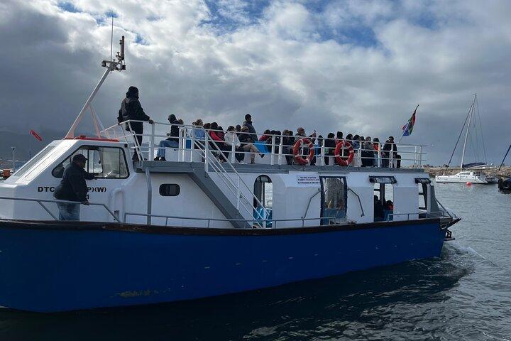 Private Hermanus Whale Watching Shoreline Tagestour von Kapstadt