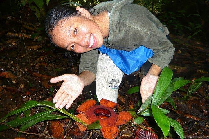 Tawau : 3D2N Maliau Basin The Lost World Expedition from Semporna (タワウ:3D2Nマリウ盆地 センポルナからのロストワールド遠征)