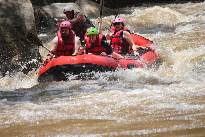Halvdags elefantpleje og Whitewater Rafting-eventyr
