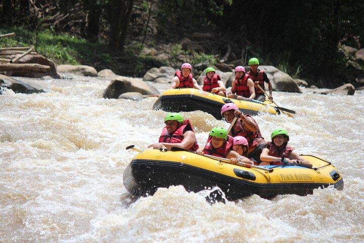 Halvdags elefantpleje og Whitewater Rafting-eventyr