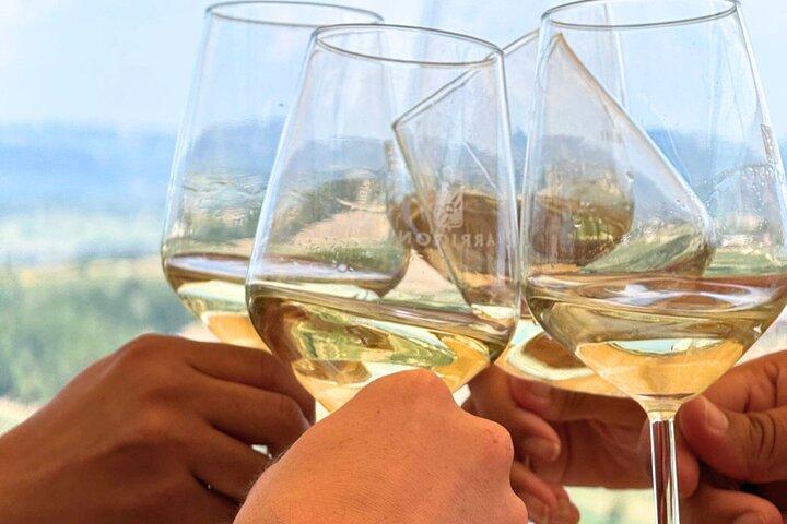 Excursión de medio día al vino Chianti Classico desde Florencia - Grupo pequeño