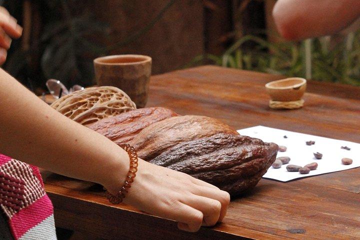 Create your own Oaxacan chocolate bar