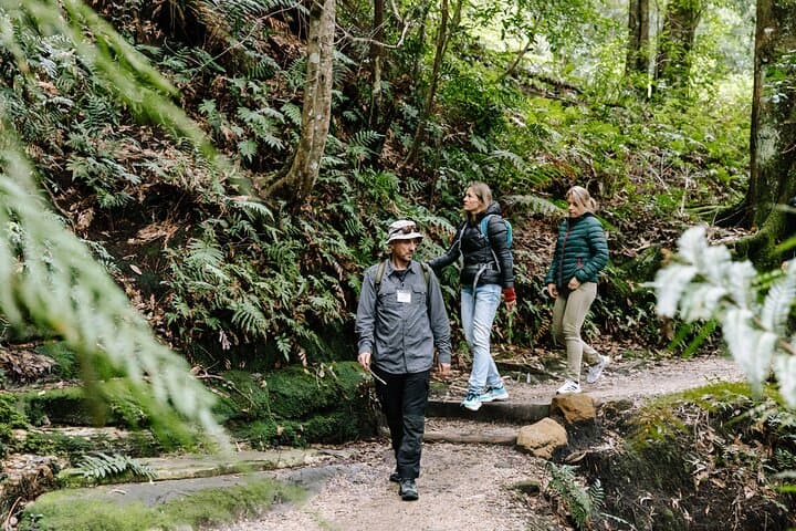 Sydney Blue Mountains Day Tour with Wildlife Park and Waterfalls