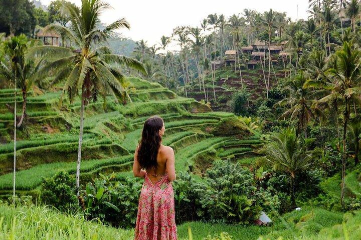 Bali Private Day Tour with Driver Service