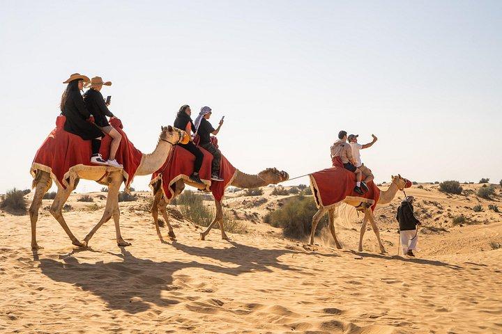 Overnight Desert Safari with Desert camping