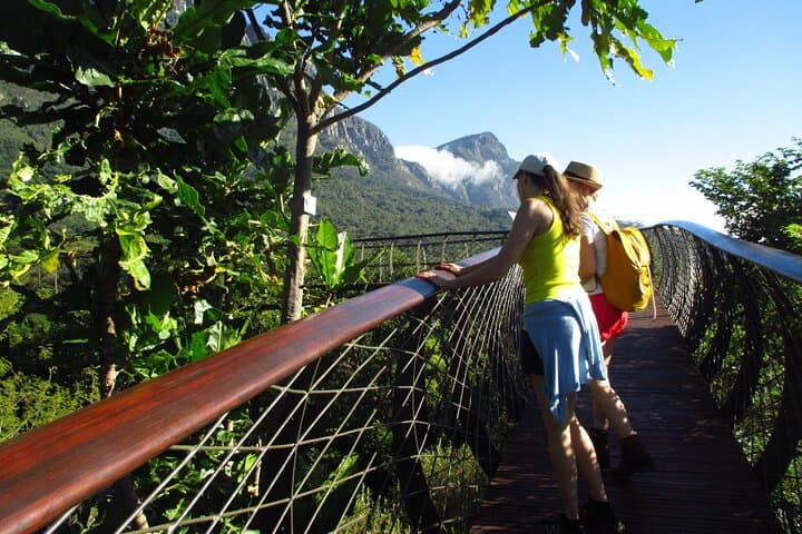 Kirstenbosch Gardens Guided Private Tour: Picnic Lunch & Bubbly