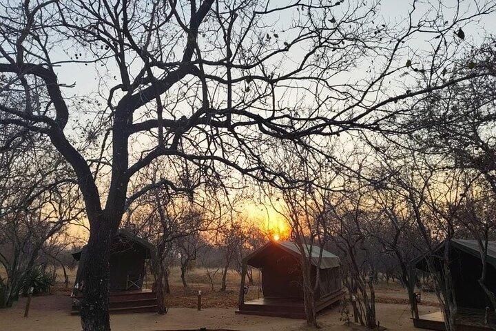 Tour panorámico y safari en glamping por Kruger de 4 días