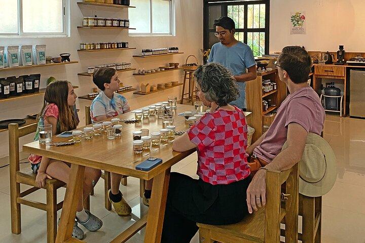Degustazione di miele di Oaxacan