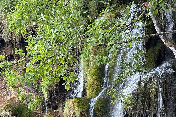 Excursion privée d'une journée aux lacs de Plitvice