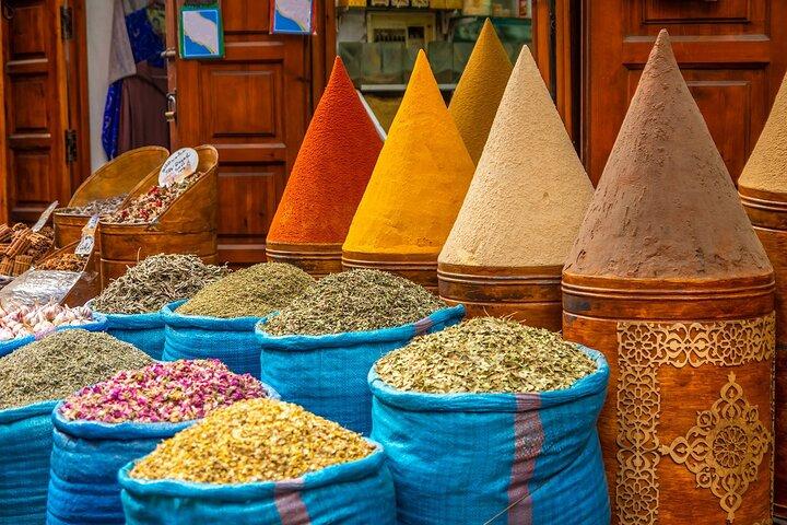 Marrakech Private Tour with Bus and Driver
