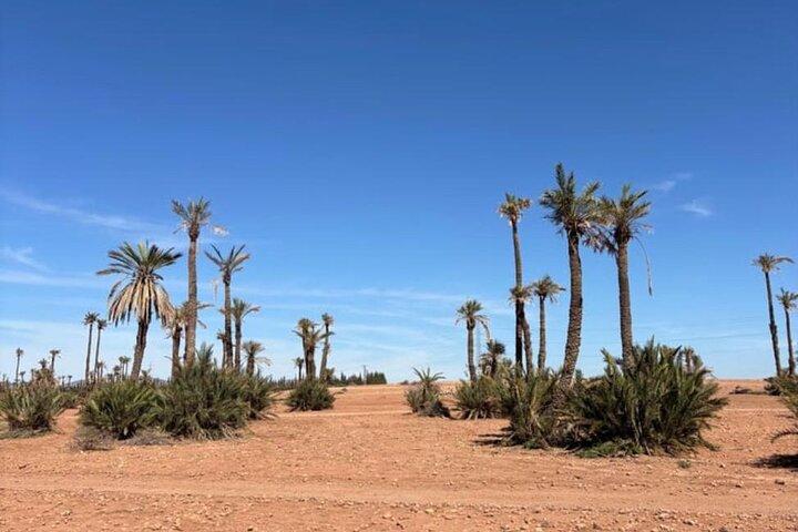 Camel Ride e Quad Bike em Marrakechs Palmeraie