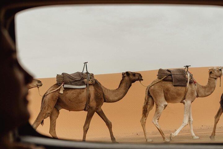 3 Day Private Merzouga Desert Tour from Marrakech