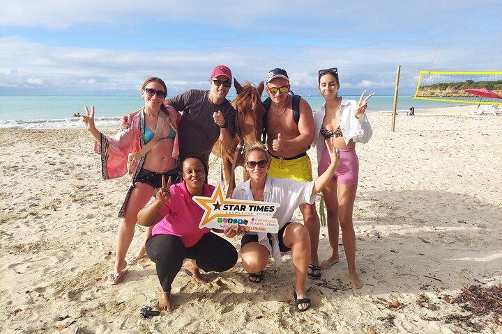 St. John's,Antigua Reiten & Bareback Schwimmen & Fort Beach