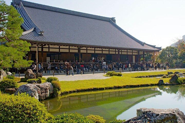 京都：嵐山天龍寺、竹林、猿めぐり