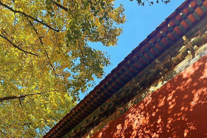 Nanjing Professionel og privat guide service