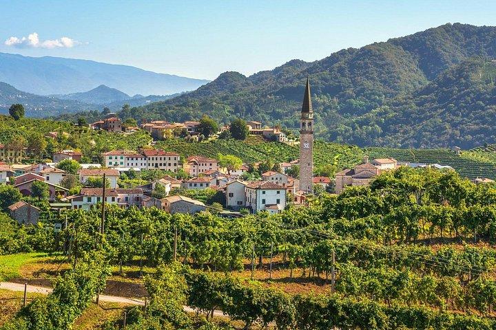 Journée complète de Prosecco Experience : Excursion privée au vin de Venise