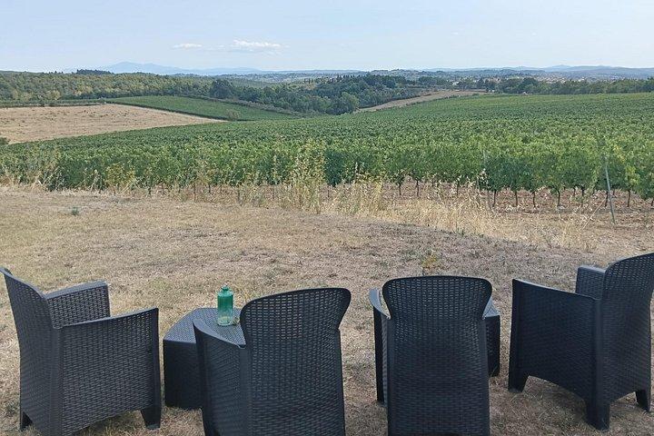 Siena Kochkurs in kleiner Gruppe auf einem Chianti Bauernhof