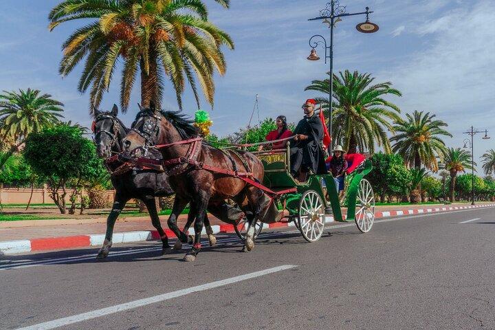 Carriage Rides Through Marrakech