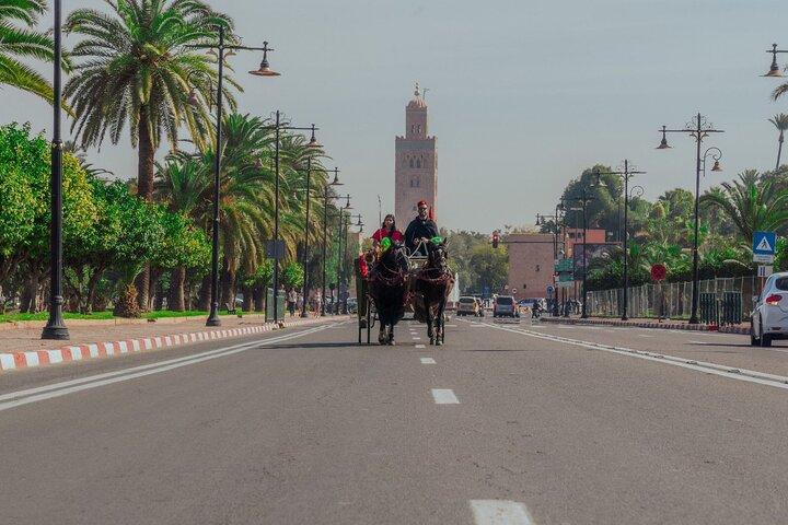 Carriage Rides Through Marrakech