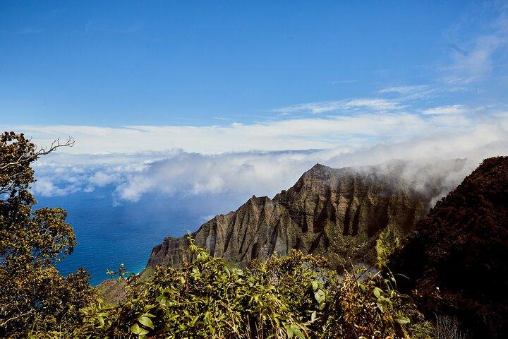 Kauai Ganztagestour mit Kreuzfahrtschiffen oder Abholung vom Flughafen Kauai